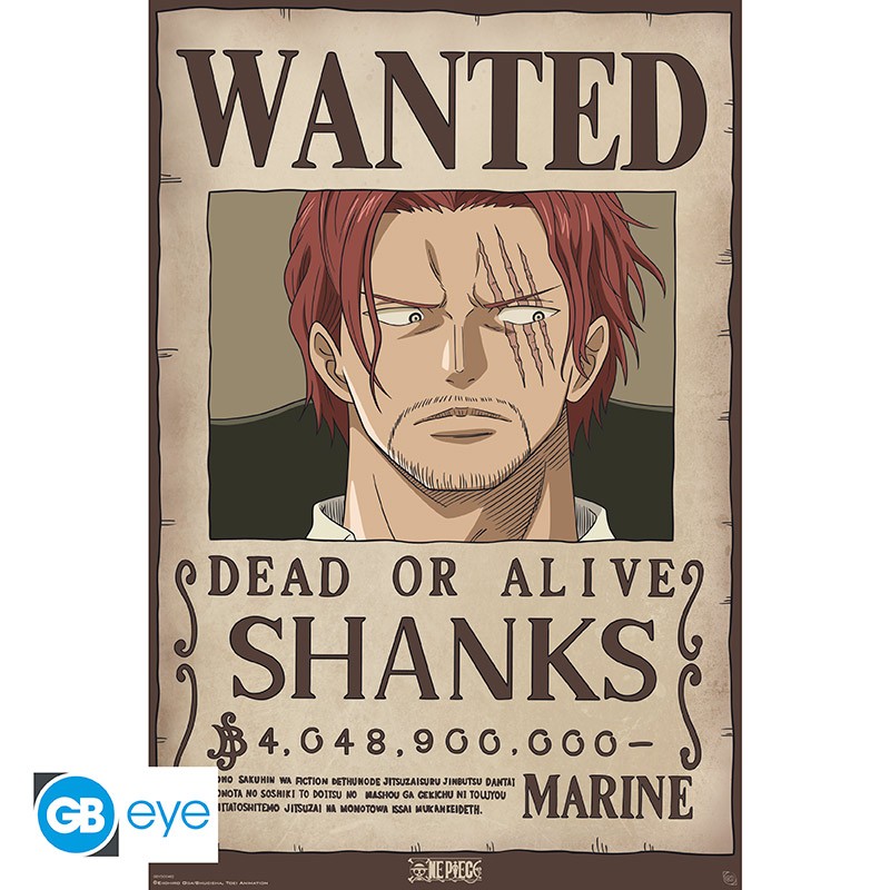 One piece Wanted
